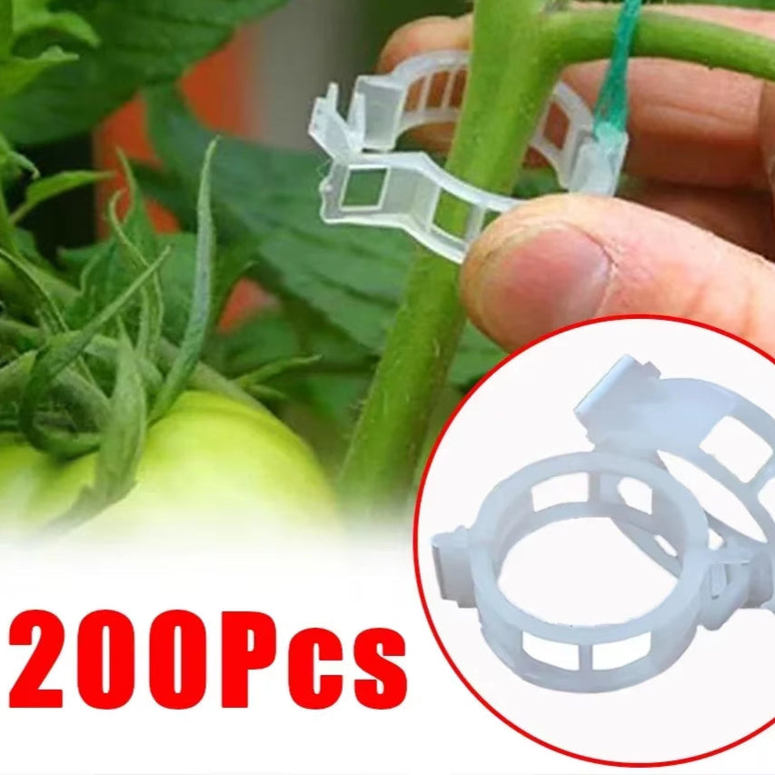 150/50Pcs Plastic Plant Support Clips Reusable Plant Vine Protection Grafting Fixing Tool for Vegetable Tomato Garden Supplies