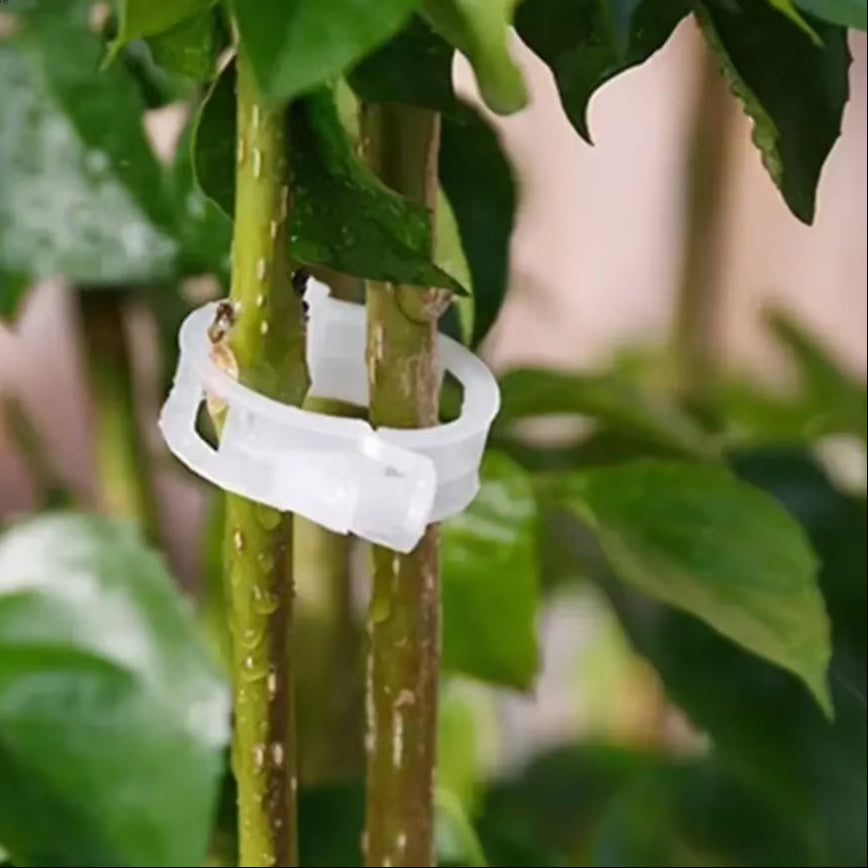 150/50Pcs Plastic Plant Support Clips Reusable Plant Vine Protection Grafting Fixing Tool for Vegetable Tomato Garden Supplies